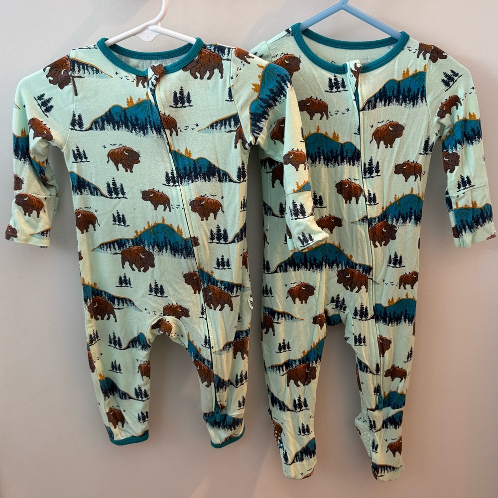 LIKE NEW Set Free Birdees Bamboo Zippered Onesies — 3-6 Months